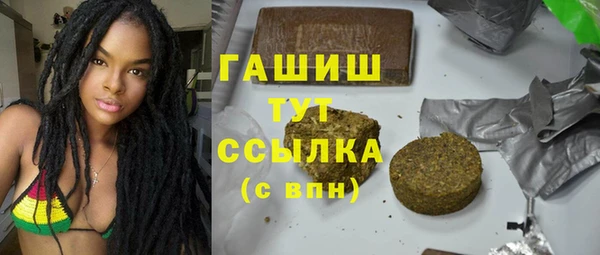 индика Нягань