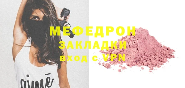 индика Нягань