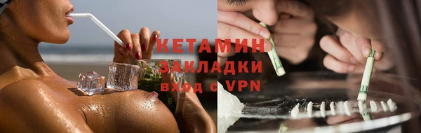 индика Нягань