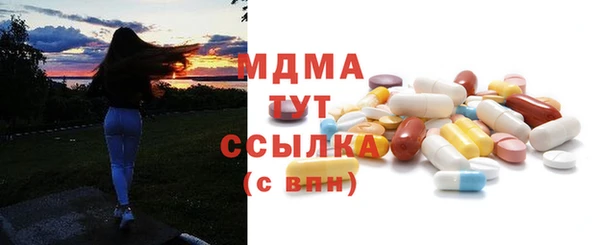 индика Нягань