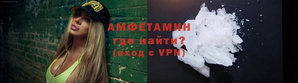 индика Нягань