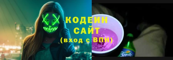 индика Нягань