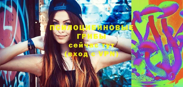 mdpv Няндома