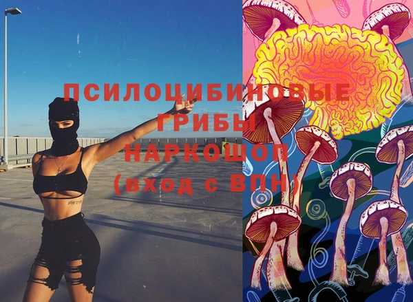 индика Нягань