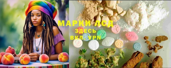 индика Нягань