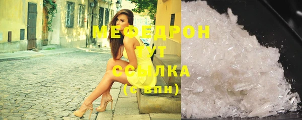 индика Нягань