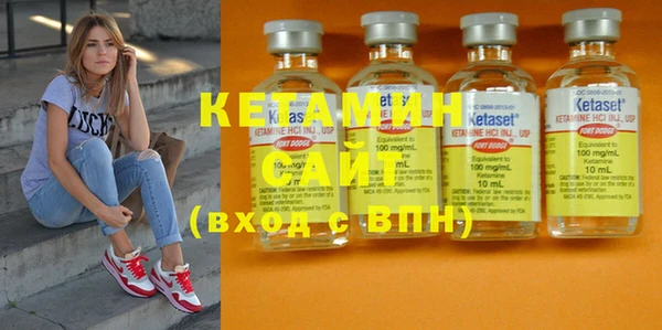 индика Нягань