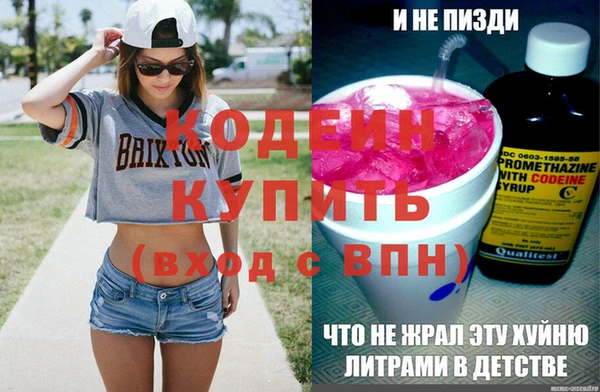 индика Нягань